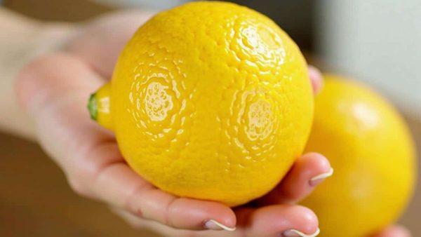 The Foolproof Method to Keep Lemons Fresh for Months Without Mold