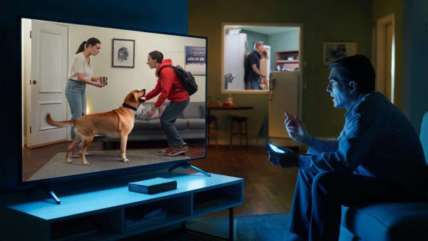 Shocking Footage Exposes Dog Sitter’s Betrayal – You Won’t Believe What Happened Next!