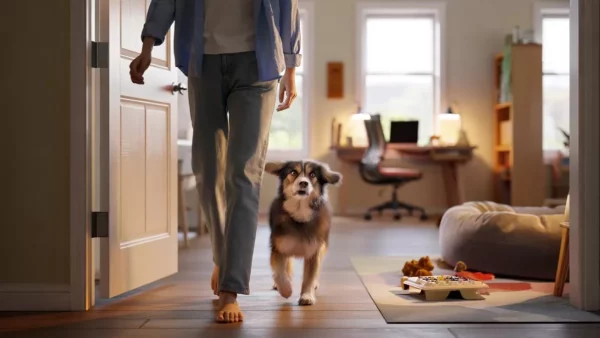 Exposing the Shocking Truth: Why Your Dog Can’t Leave Your Side
