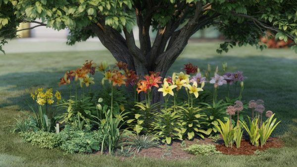The Secret Behind Planting Lilies Under Walnut Trees – You Won’t Believe the Truth!