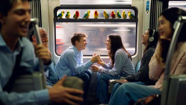 The Unexpected Secret to Making Friends: Embrace Your Inner Parakeet