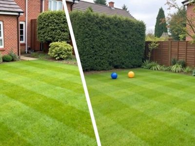 The Shocking Truth About Cutting Your Lawn in March: Are You Risking Grass Disaster?
