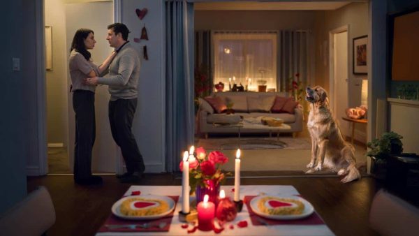 Shocking Secrets: 26% of Couples Nearly Broke Up Over Pet Disputes on Valentine’s Day